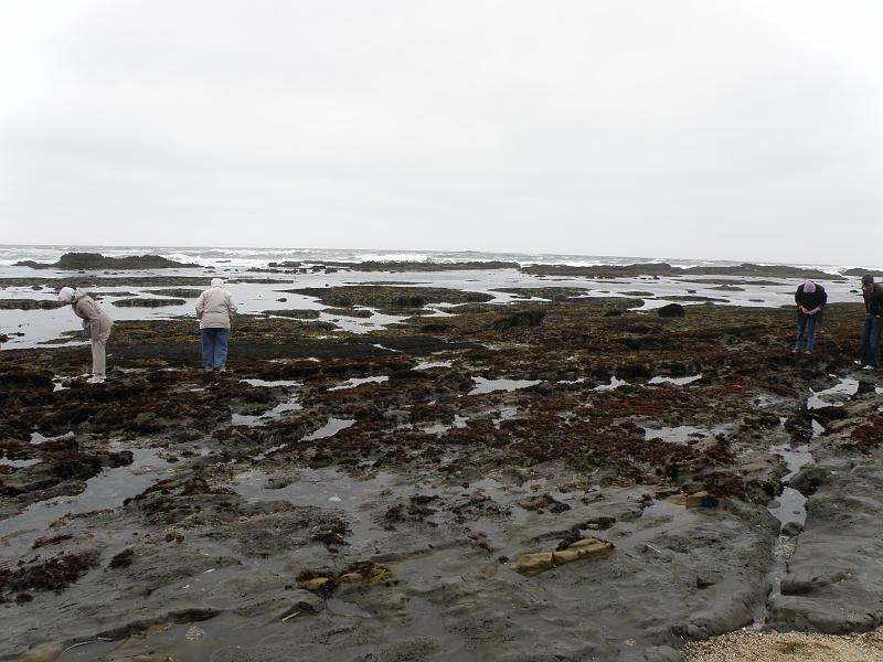 P6182019 Fitzgerald Reserve.JPG